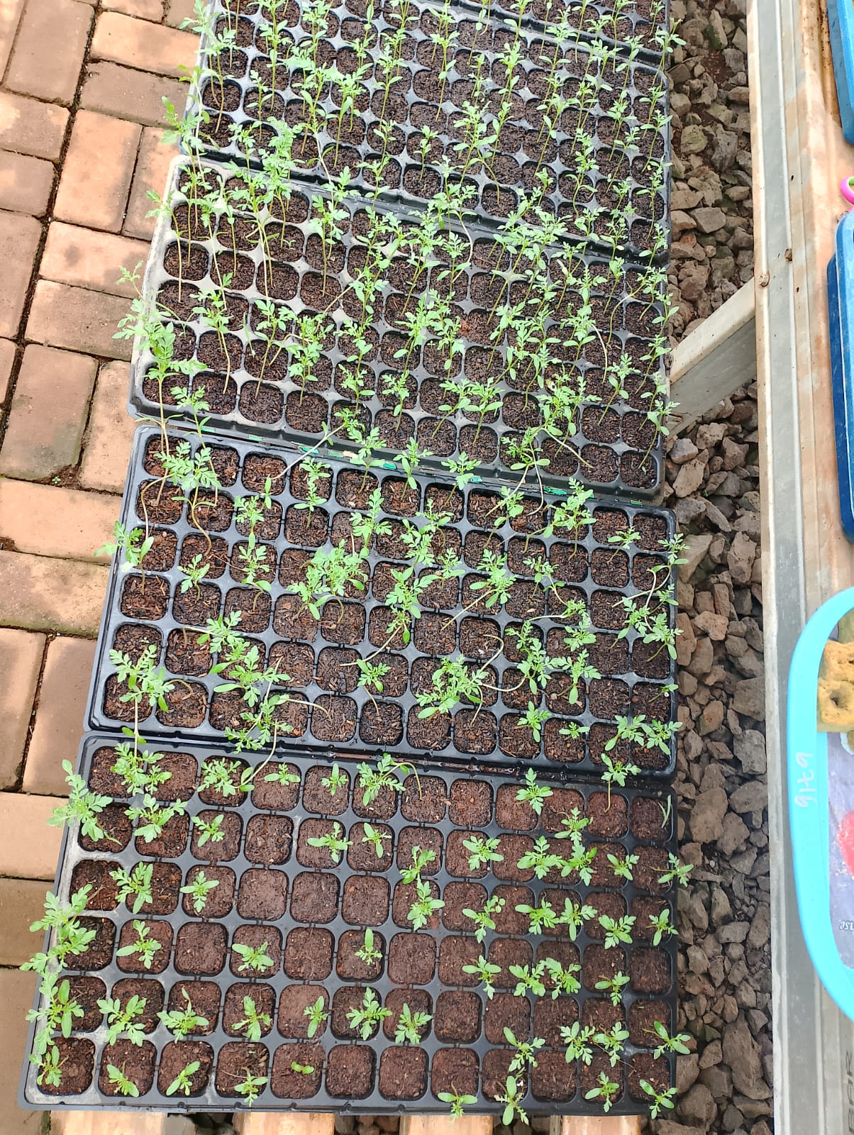 Plant Monitoring