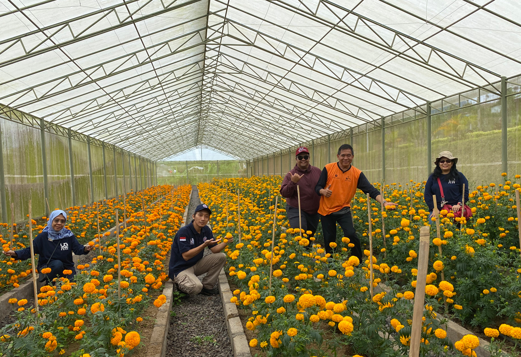 Marigold Flowers in Bali